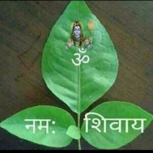 शिव भी नील वर्ण - श्रावण मास